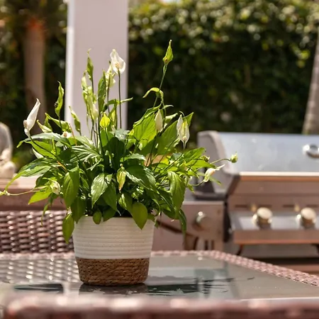 Beautiful Andalusian-style With Huge Private Pool, Outdoor Jacuzzi, Amazing Sea And Mountain Views, Close To The Beach, Walking Distance To Golf Courses And Amenities Hotel